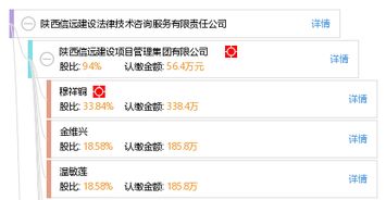 技术咨询驱动发展 陕西信远建设法律技术咨询服务有限责任公司的专业实践